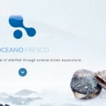 “Océano Fresco” abre el primer vivero de almejas a mar abierta del mundo gracias al apoyo de la plataforma de Crowdlending “GoParity” que ayuda a financiar proyectos sostenibles